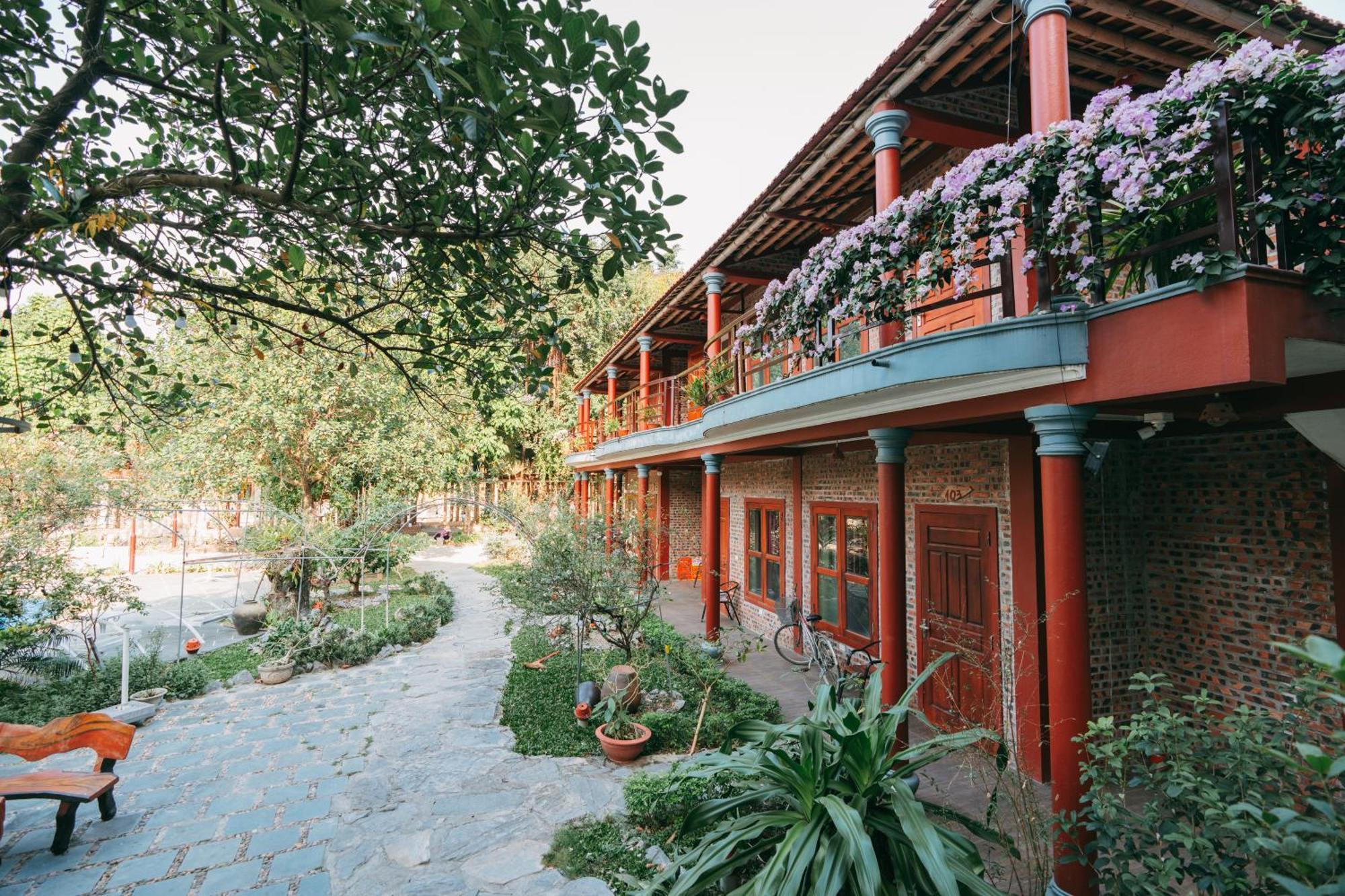 Tam Coc Lavender Homestay Ninh Binh Exteriér fotografie